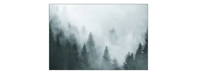 Obrázok produktu pre Muralo fototapeta les v hmle 405 (Š) x 270 (V) cm netkaná tapeta tapeta stromy obývacia izba spálňa moderné fototapety XXL krajina panoráma nástenná dekorácia