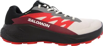 Image de Chaussures Salomon Alphaglide Gtx 478022