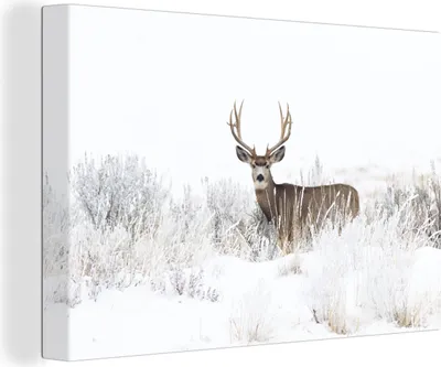 Produktbild von MuchoWow® - Leinwandbilder - Hirsche - Winter - Schnee - Tiere - Jahreszeiten - Weiß, Wandbild, Wanddeko Bilder Wohnzimmer, 30x20 cm