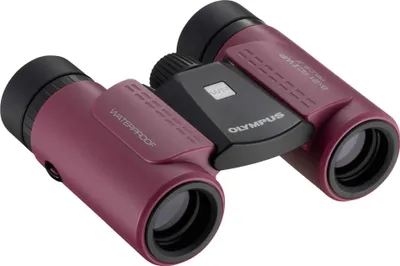 Obrázok produktu pre Olympus 8x21 RC II WP, Strecha, 8x, 2,1 cm, FMC úplne potiahnutý, Vodeodolný, 215 g