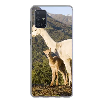 Produktbild von MuchoWow® Handyhülle Schutzhülle Hülle für Samsung Galaxy A71 Alpakas - Berge - Natur Silikon Softcase Handy Hülle - Kartenbesitzer