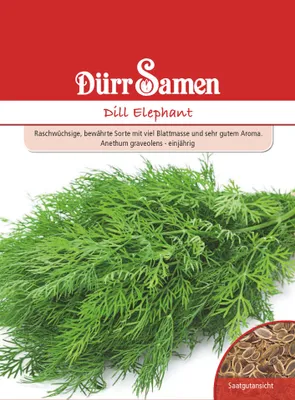 Produktbild von Dill Elephant | Dillsamen von Dürr Samen