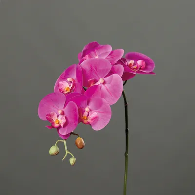 Produktbild von Künstliche Orchidee Phalaenopsis Pink 78cm Dekoblume