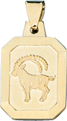 Produktbild von JOBO Anhänger Sternzeichen Steinbock 333 Gold Gelbgold teilmattiert