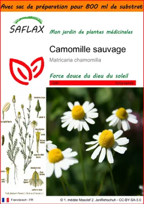 Image de SAFLAX Garden in the bag - Camomille sauvage - 300 graines - Matricaria