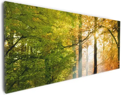 Produktbild von Wallario Premium Leinwandbild Sonnenuntergang im Herbstwald in Größe 30 x 75 cm