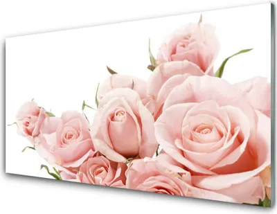 Produktbild von Acrylglasbilder 100x50 Wandbild Druck Rosen Pflanzen