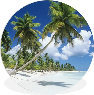 Produktbild von MuchoWow® Rundes Wandbild - Runde Bilder Strand - Palme - Tropisch Ø 60 cm Kreis Wanddekoration Kunststoff - Wandkreis - Wandschmuck - Wand Kreis - Das Schlafzimmer - Die Bilder - Wandmalerei - Kunst für das Haus - das Plastik