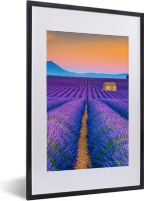 Produktbild von MuchoWow® Gerahmtes Poster Lavendel - Lila - Blumen 40x60 cm - Poster mit Schwarzem Bilderrahmen Wandposter Rahmen Foto Bilder - Poster in Rahmen