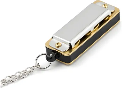 Zdjęcie produktu dla Zestaw instrumentów perkusyjnych: mini harmonijka ustna, naszyjnik, tonacja C, 4 otwory, 8 dźwięków, harmonijka ustna, przenośna harmonijka dla dzieci, początkujących (srebrna)