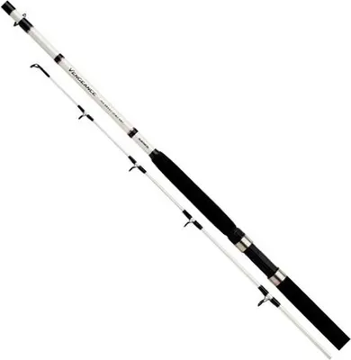Zdjęcie produktu dla SHIMANO Vengeance AX Boat, 2,4 m, 7,87 ft, 0–300 g, 2-częściowa, wędka z łodzi, wędka morska, VAXBT240H