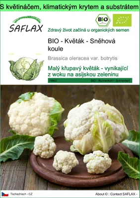 Obrázek produktu pro SAFLAX Garden to go - BIO - Květák - Sněhová koule - Brassica oleracea var. botrytis - 70 Semena - S květináčem, klimatickou poklicí a pěstebním substrátem
