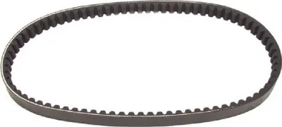 Immagine prodotto di Bando Standard 10 X 960 Mm Cinturino Variatore Argento Argento Taglia Unica