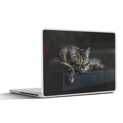 Produktbild von MuchoWow® Laptop Aufkleber Sticker Cover Katze liegt schlafend auf einem schwarzen Tisch 30x21 cm - Sticker für Laptop - Selbstklebend