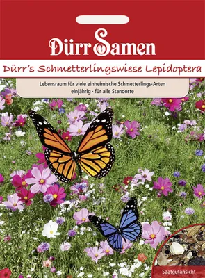 Produktbild von Dürr-Samen - Blumenmischung Schmetterlingswiese Lepidoptera 1 kg einjährig - Saatgut - 4320
