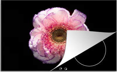 Produktbild von KitchenYeah© Herdabdeckplatte Gartenanemone - Blume - Rosa , 80x52cm, Küche Deko, Glaskeramikkochfeld Herdabdeckung, Abdeckplatte fùr Kochfeld