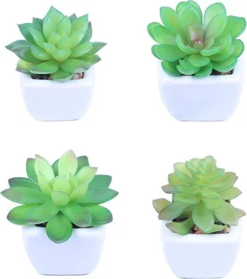 Produktbild von Kleine Kunstpflanzen, 4er Set, für Wohnzimmer, Bad, Balkon, Schreibtischdeko