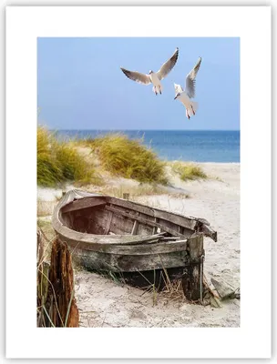 Produktbild von Poster - Poster ohne Rahmen - Strand Möwen £ódŸ - 30x40 cm - Wand Bild - Wanddeko - Wandbilder - Kunstposter - Wandposter - Bilder - Kunstdruck - Wanddekoration - Wandbild - P2XPA30x40-4170