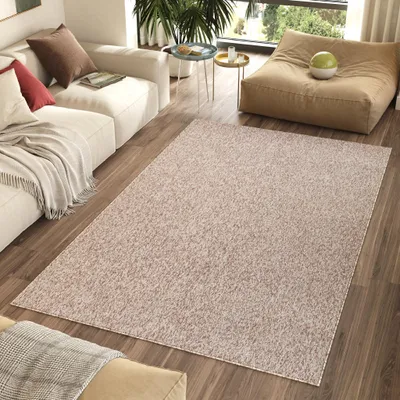 A living room scene with a sofa, rug, and beanbag chair.
