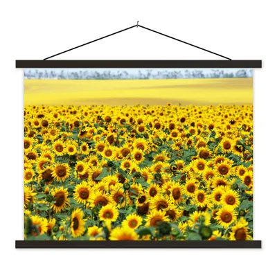 Produktbild von MuchoWow® Textilposter Sonnenblume - Blumen - Natur 120x90 cm mit schwarzem Rahmen - Aufhänger für Poster