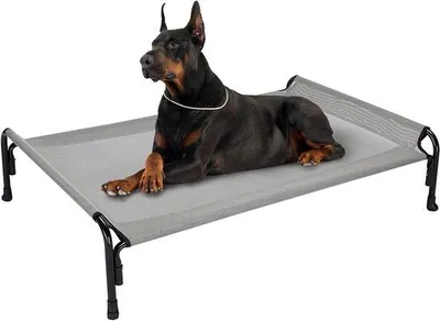 Image de Lit surélevé pour chien XL gris pour grands chiens