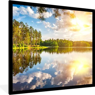 Produktbild von MuchoWow® Gerahmtes Poster Bäume - Wasser - Sonne 40x40 cm - Poster mit Schwarzem Bilderrahmen Wandposter Rahmen Foto Bilder - Mit Rahmen - Wanddekoration Schlafzimmer