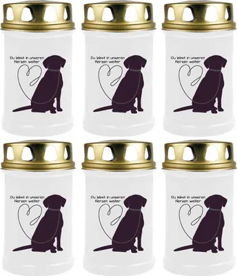 Productafbeelding van 6 kaarsen in een verpakking, witte kleur, brandduur: 48 uur (per kaars), afbeelding: Labrador