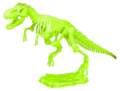 Immagine prodotto di LEAN Toys 23339 Set archeologico - scheletro di dinosauro luminoso