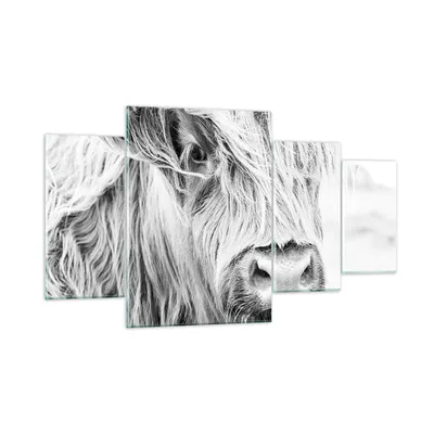 Produktbild von Bilder auf glas - 4 Teile - Kuh Scotch Tier - 160x90cm - Glasbilder - Wandbilder - Bilder - zum Aufhängen bereit - Wanddekoration aus Glas - Glas Bilder - Wandbild auf Glas - GDL160x90-5129