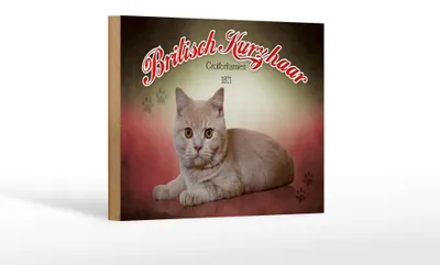 Produktbild von Holzschild Katze 18x12cm Britisch Kurzhaar Großbritannien