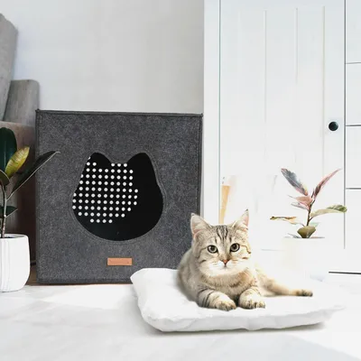 Produktbild von LuckySign Katzenhaus Indoor Katzenhöhle Kallax Regal Katzenkorb zum Schlafen Kallax Einsatz für Katzen mit Flauschig Katzenkissen, 33X33X37cm- Dunkelgrau