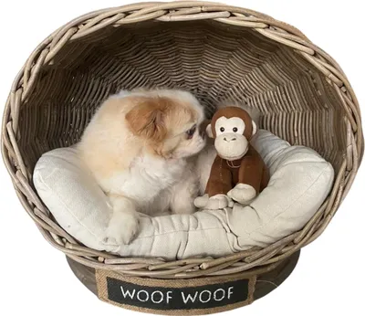 Produktbild von Rattan Hundekorb IGLO mit Kissen