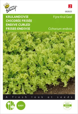 Productafbeelding van Frisée Andijvie, altijd wit | Andijvie-saladezaad van Buzzy Seeds