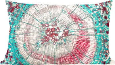 Produktbild von MuchoWow® Zierkissen Sofakissen Wohnzimmer Dekokissen 50x30 cm Kreis - Blau - Rot - Wohnzimmerdekoration - Polster mit Photo