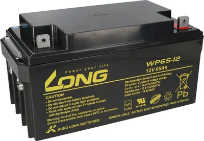 Image de Kung Long WP65-12 12V 65Ah Pb Batterie plomb-gel VDS AGM