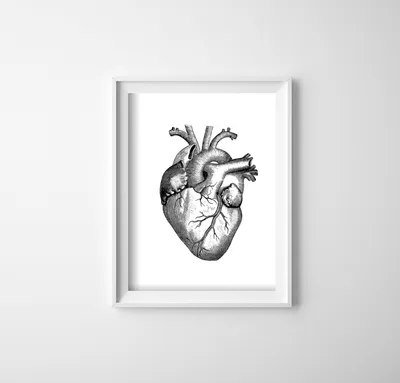 Produktbild von Poster - Canvas - Leinwand - 21 cm x 29,7 cm - Fotoposter - Leinwandkunst – Herz