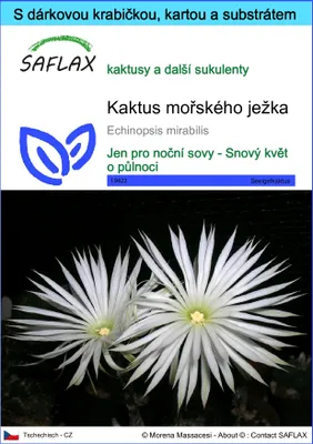 Obrázek produktu pro SAFLAX Dárková sada - kaktus mořského ježka - Echinopsis mirabilis - 40 Semena - S dárkovou krabičkou, přepravním štítkem, dárkovou kartou a pěstebním médiem