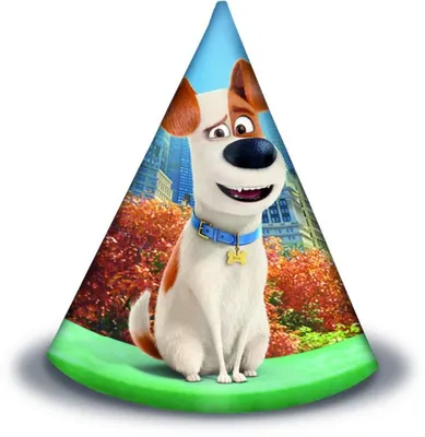 Produktbild von Pets Party Hüte 6 Stück