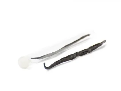Obrázek produktu pro Pravé vanilkové lusky – pravá bourbonská vanilka 17–18 cm – celé vanilkové lusky (3 ks)
