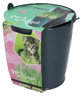 Produktbild von Anzuchtset Katzengras im Eimer | Anzuchtsets von Buzzy Gifts