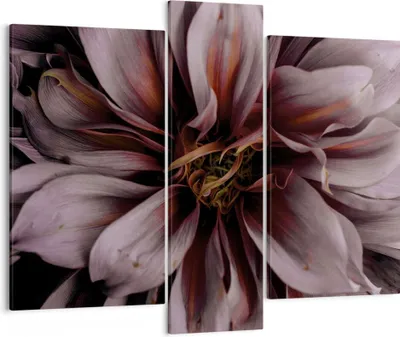 Produktbild von Bild auf Leinwand - Leinwandbild - 3 Teile - Blumenstrauß Künstlerisch Blume - 95x80cm - Wand Bild - Wanddeko - Wandbilder - Leinwanddruck - Bilder - Wanddekoration - Leinwand bilder - CB95x80-5019