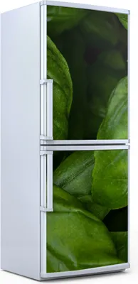 Produktbild von Kühlschrankdekoration 70x180 cm Aufkleber auf dem Kühlschrank - frisches grünes Basilikum