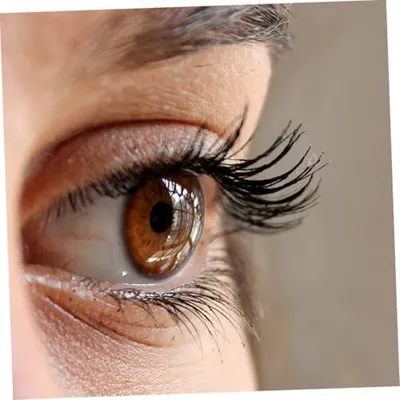 Produktbild von 10 Paare Künstliche Wimpern mit Strasssteinen Natürliche Dichte Lange Fake Lashes Leichte Synthetische Fasern Selbstklebend für Make Up Party Festival und Alltag