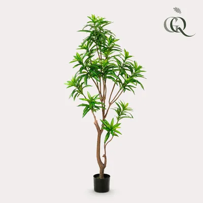 Image de Green boutiQ - Plante artificielle - Dracaena - Drakenboom - 155 cm - Vert - Sans entretien - Haute qualité