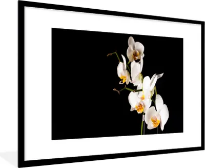 Produktbild von MuchoWow® Gerahmtes Poster Orchidee - Blumen - Pflanzen - Botanisch 90x60 cm - Poster mit Schwarzem Bilderrahmen Wandposter Rahmen Foto Bilder - Wanddekoration - Fotos