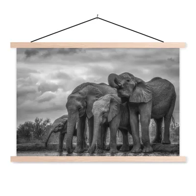 Produktbild von MuchoWow® Textilposter Elefant - Tiere - Wasser - Schwarz und weiß 60x40 cm mit holzfarbenen Rahmen - Bilder