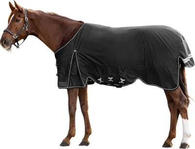 Produktbild von Waldhausen Outdoordecke Scandic 300g- schwarz, 165