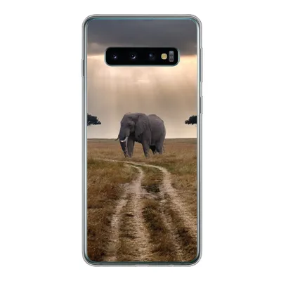 Produktbild von MuchoWow® Handyhülle Schutzhülle Hülle für Samsung Galaxy S10 Elefant - Tiere - Wiese - Sonne Silikon Softcase Handy Hülle - Handytasche