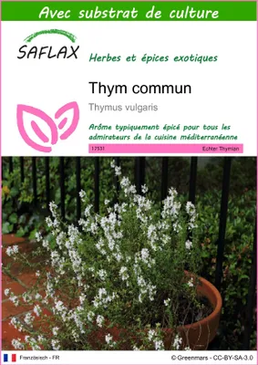 Image de SAFLAX  - Thym commun - 200 graines - Avec substrat - Thymus