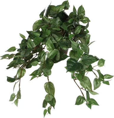 Image de Mica Decorations Scindapsus plante artificielle suspendue dans un pot de fleurs Stan - H45 x Ø25 cm - Vert